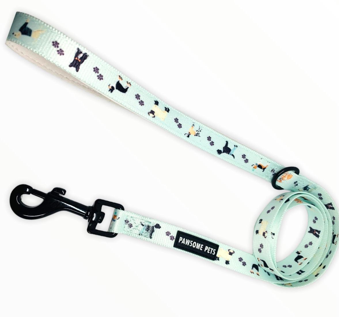 Ensemble - colliers et harnais pour chiens (4 pièces)