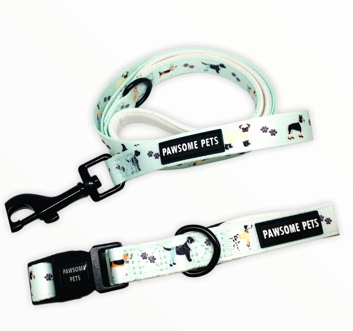 Ensemble - colliers et harnais pour chiens (4 pièces)