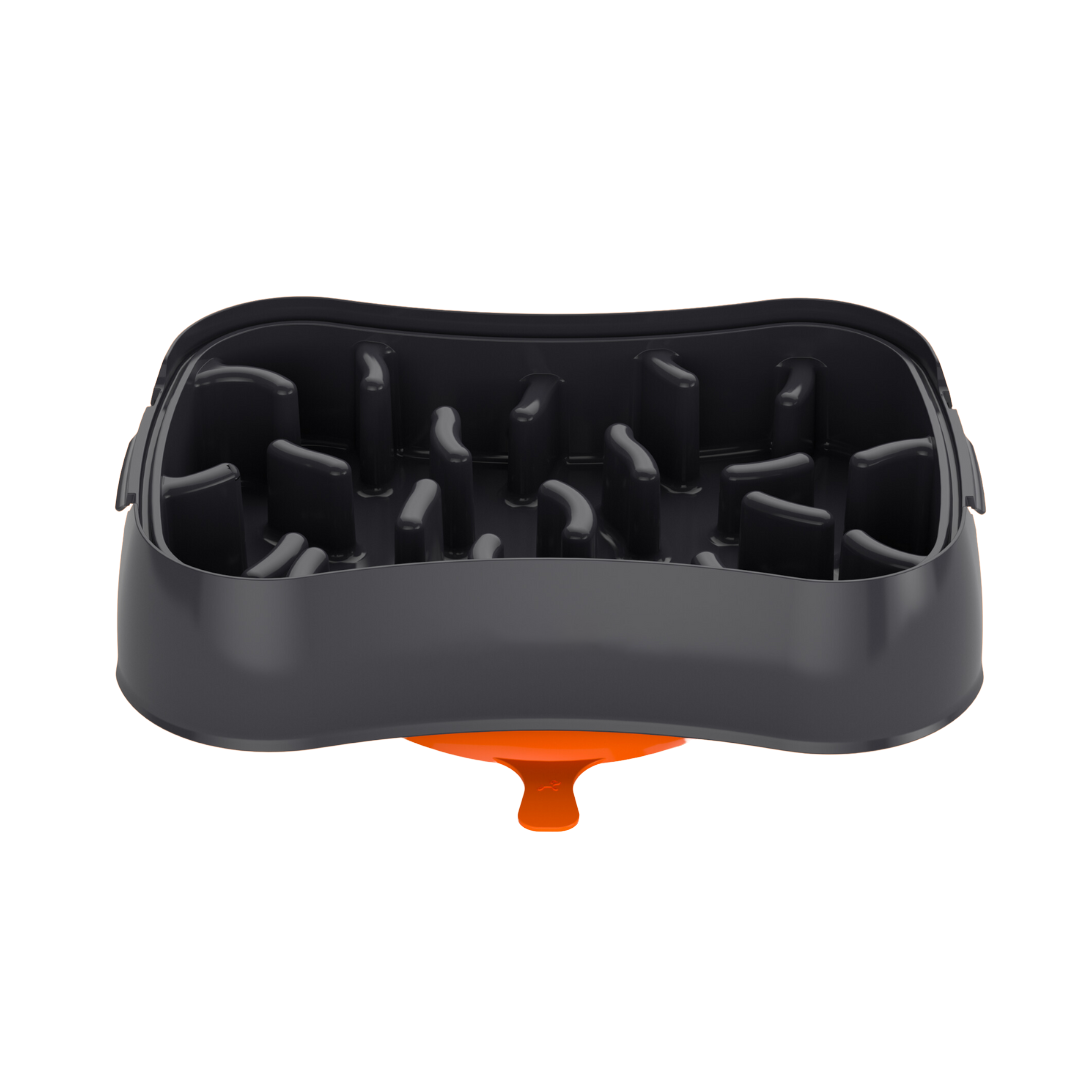 4-in-1 Slow Feeder Dog Bowl