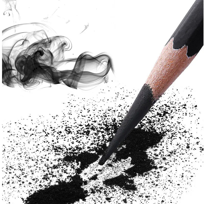Tenwin Lot de 12 fusains noirs pour croquis, dessin doux/moyen/dur