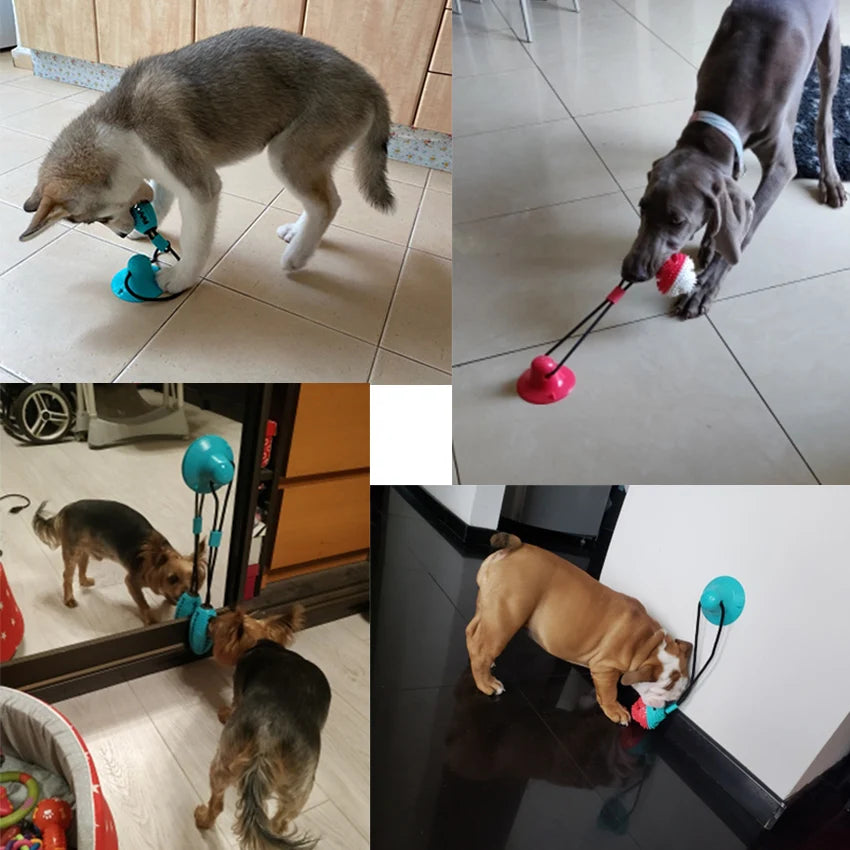Jouet pour chien en silicone avec ventouse | Balle à mâcher pour chien | Jouet nettoyant dentaire pour chien | Jouet pour chien avec ventouse | Balle de jeu pour chien avec ventouse | Jouet dentaire interactif pour chien | Jouet en silicone résistant pour chien | Jouet de nettoyage dentaire pour chien | Jouet à mâcher pour chien de toutes tailles | Jouet pour chien qui stimule l’hygiène dentaire
