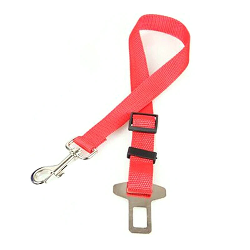 Coliers et laisses pour chiens, ceintures de sécurité pour voiture, clips de ceinture de sécurité pour chiens de compagnie