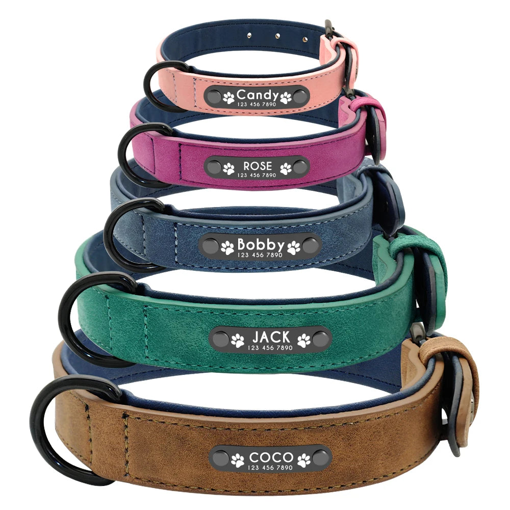 Ensemble collier et laisse en cuir personnalisé pour chiens de petite, moyenne et grande taille, pitbull