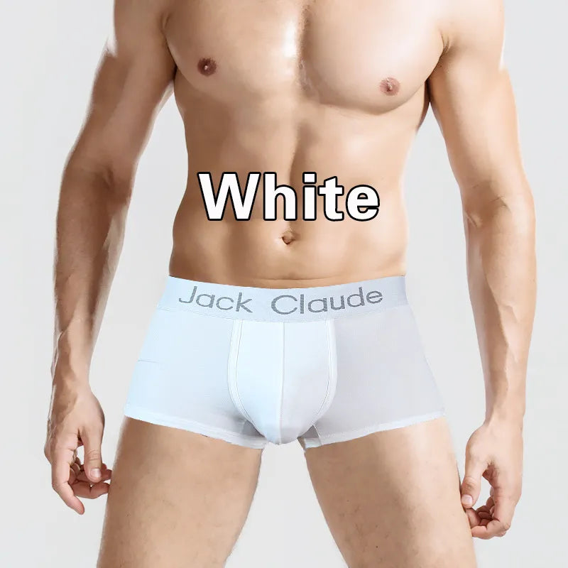 Lot de 10 boxers pour homme, sous-vêtements sexy et doux, confortables