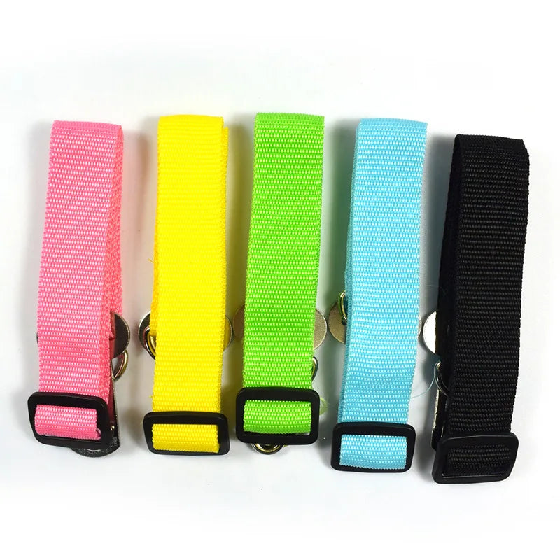 Coliers et laisses pour chiens, ceintures de sécurité pour voiture, clips de ceinture de sécurité pour chiens de compagnie