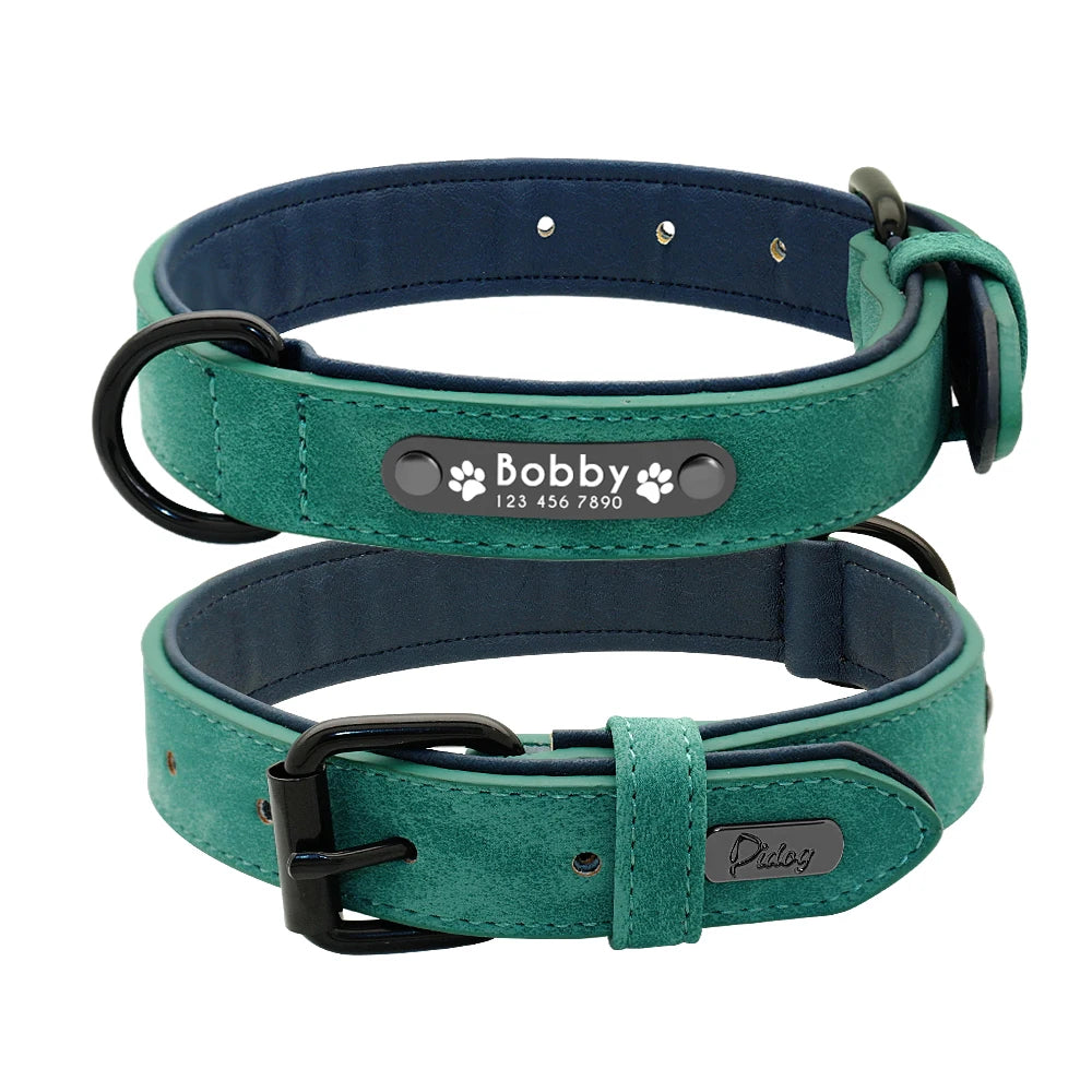 Ensemble collier et laisse en cuir personnalisé pour chiens de petite, moyenne et grande taille, pitbull