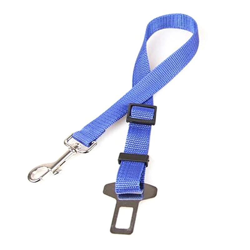 Coliers et laisses pour chiens, ceintures de sécurité pour voiture, clips de ceinture de sécurité pour chiens de compagnie