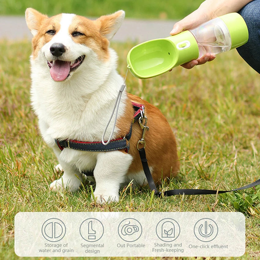 Bouteille d'eau portable pour chien et chat