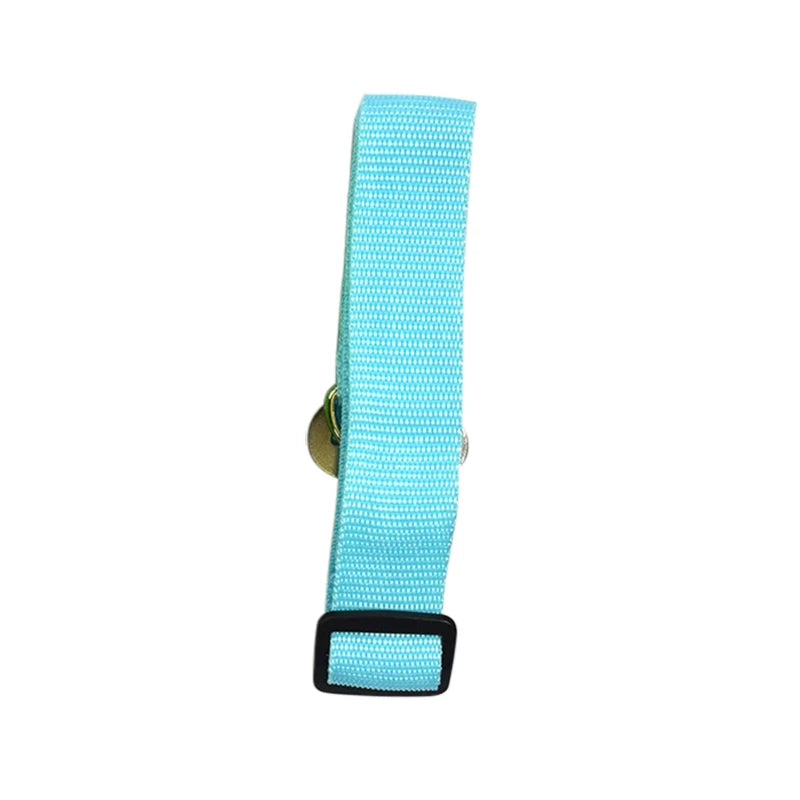 Coliers et laisses pour chiens, ceintures de sécurité pour voiture, clips de ceinture de sécurité pour chiens de compagnie