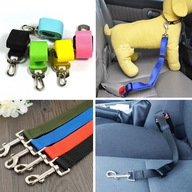 Coliers et laisses pour chiens, ceintures de sécurité pour voiture, clips de ceinture de sécurité pour chiens de compagnie
