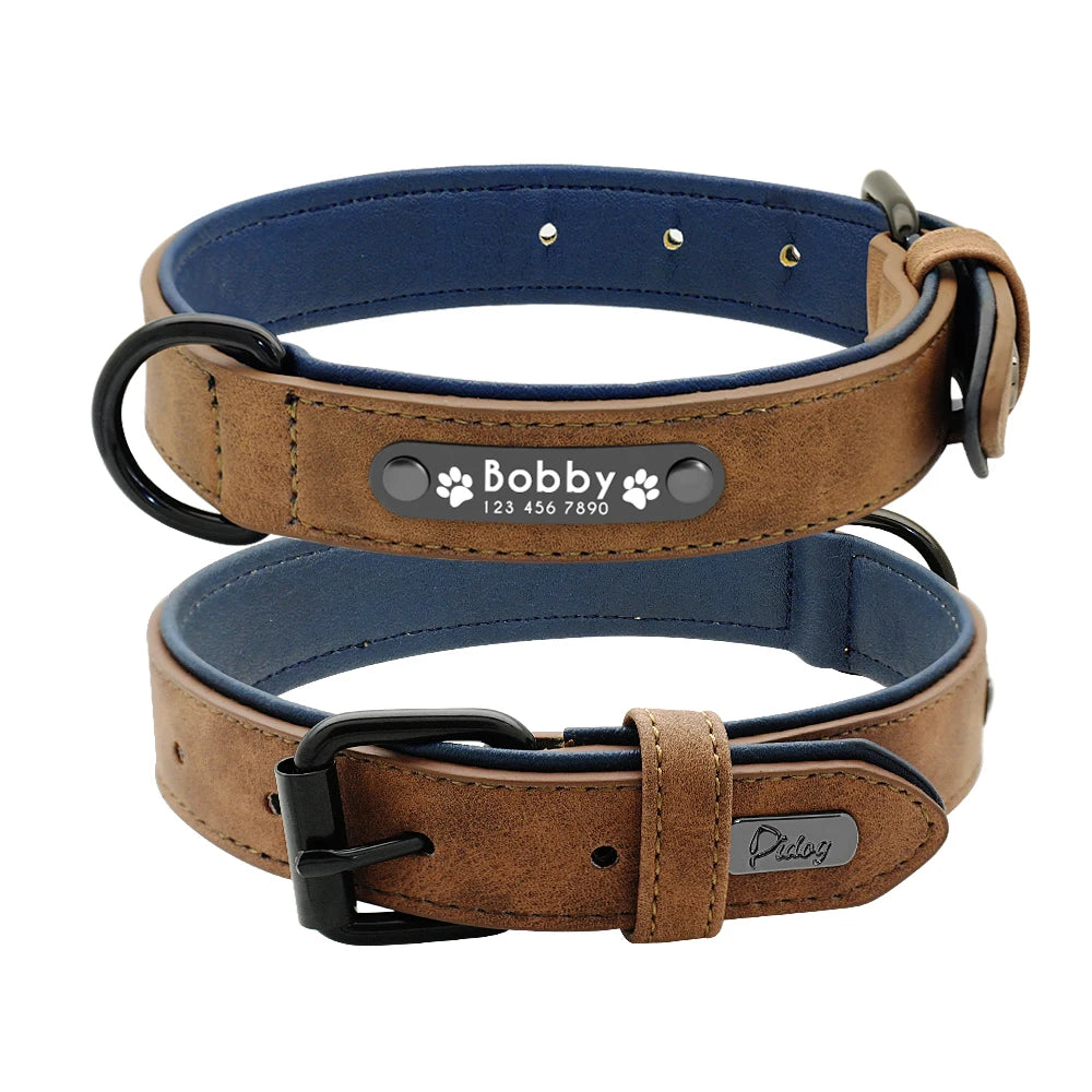 Ensemble collier et laisse en cuir personnalisé pour chiens de petite, moyenne et grande taille, pitbull