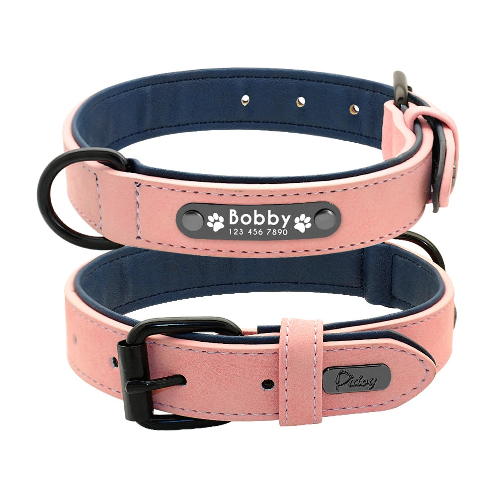 Ensemble collier et laisse en cuir personnalisé pour chiens de petite, moyenne et grande taille, pitbull