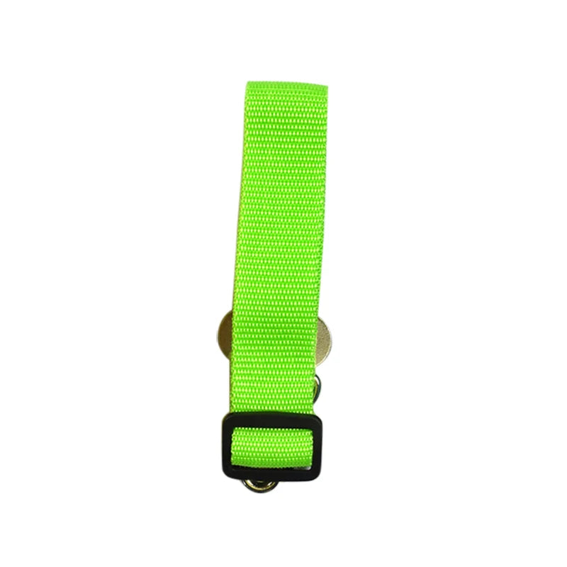 Coliers et laisses pour chiens, ceintures de sécurité pour voiture, clips de ceinture de sécurité pour chiens de compagnie