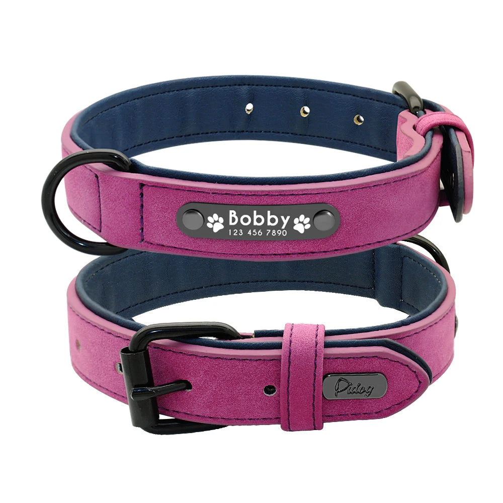 Ensemble collier et laisse en cuir personnalisé pour chiens de petite, moyenne et grande taille, pitbull