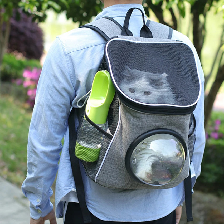 Bouteille d'eau portable pour chien et chat