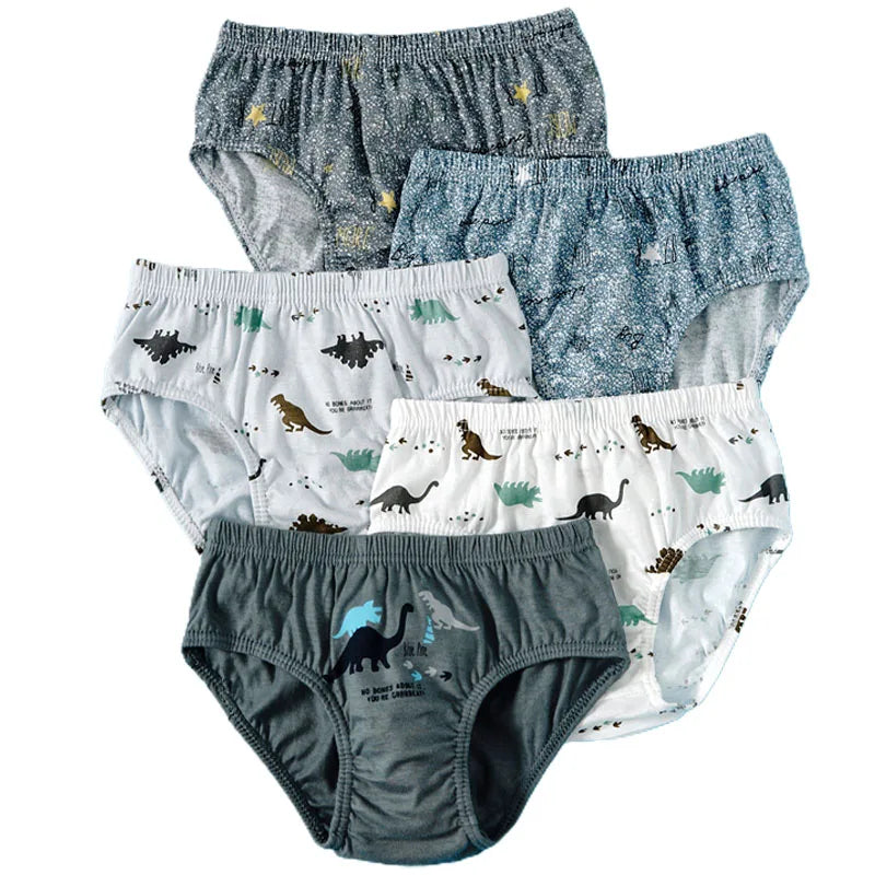 Sous-vêtements garçon en coton à motif dinosaure | Boxers garçon confortables et respirants | Lot de 5 sous-vêtements enfant | Sous-vêtements ludiques avec dinosaures pour garçons | Coton doux pour sous-vêtements enfant | Sous-vêtements garçons 2 à 14 ans | Boxers enfant avec taille élastique | Motifs dinosaures amusants pour garçons | Sous-vêtements pratiques pour enfants actifs | Pack de sous-vêtements durable et confortable